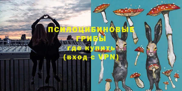 винт Алзамай