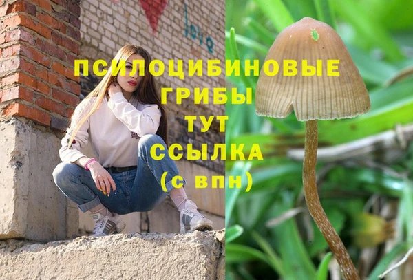 марки lsd Алексеевка